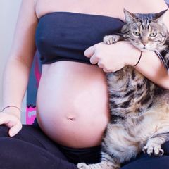 Těhotná a kočka