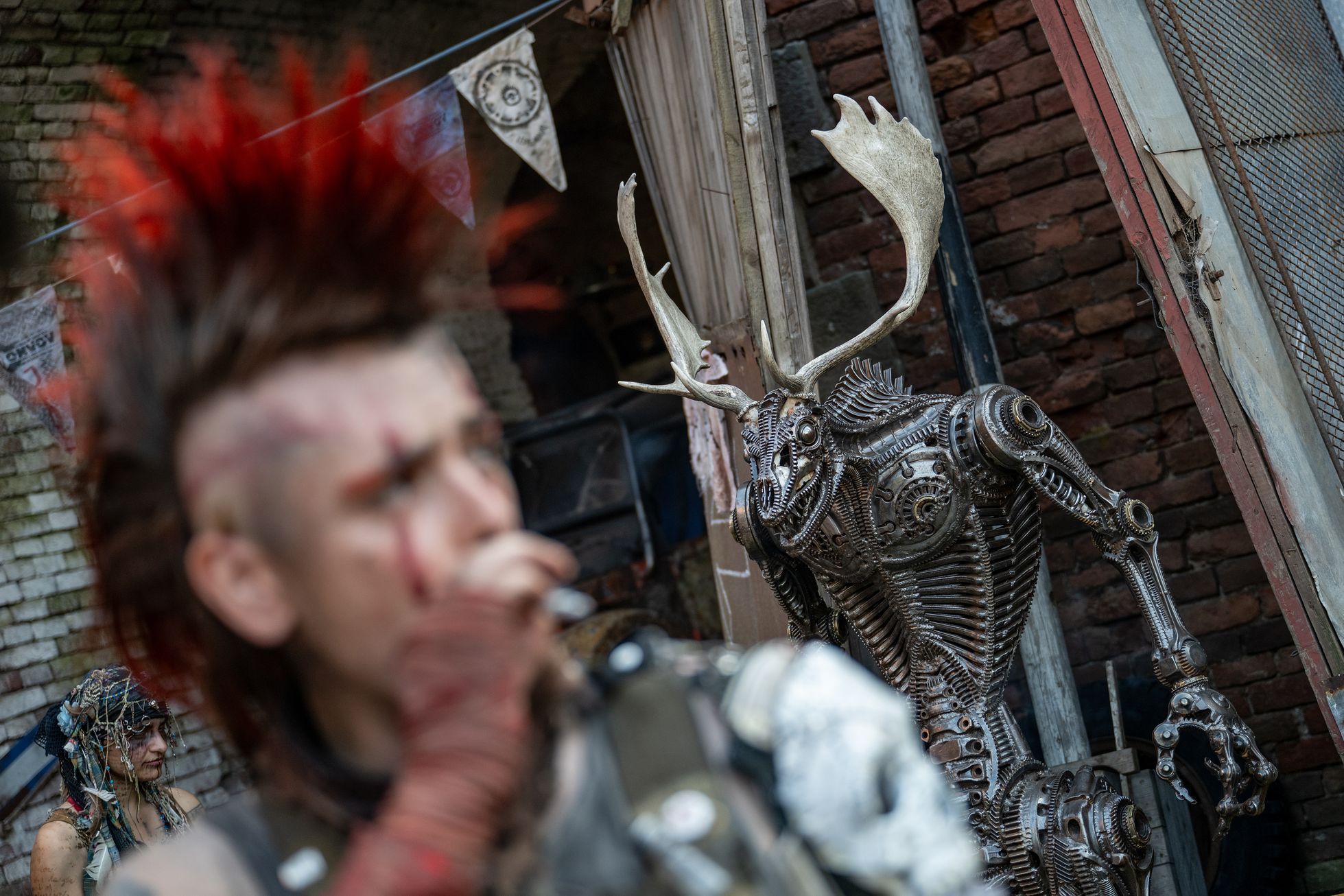 Brutal Assault 2024, festival