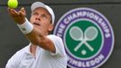 Tomáš Berdych na Wimbledonu 2013