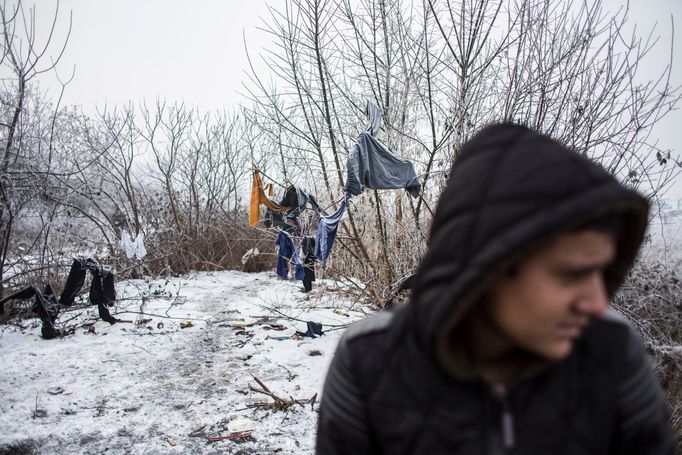 Czech Press Photo 2017: Problémy dnešní doby (série)