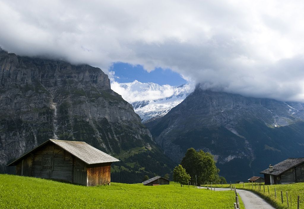 Obrazem: Fascinující podoby symbolu srdce v přírodě