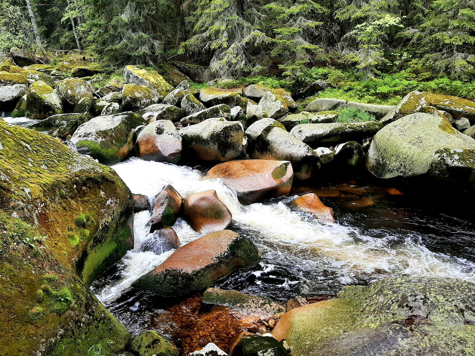 Povydří