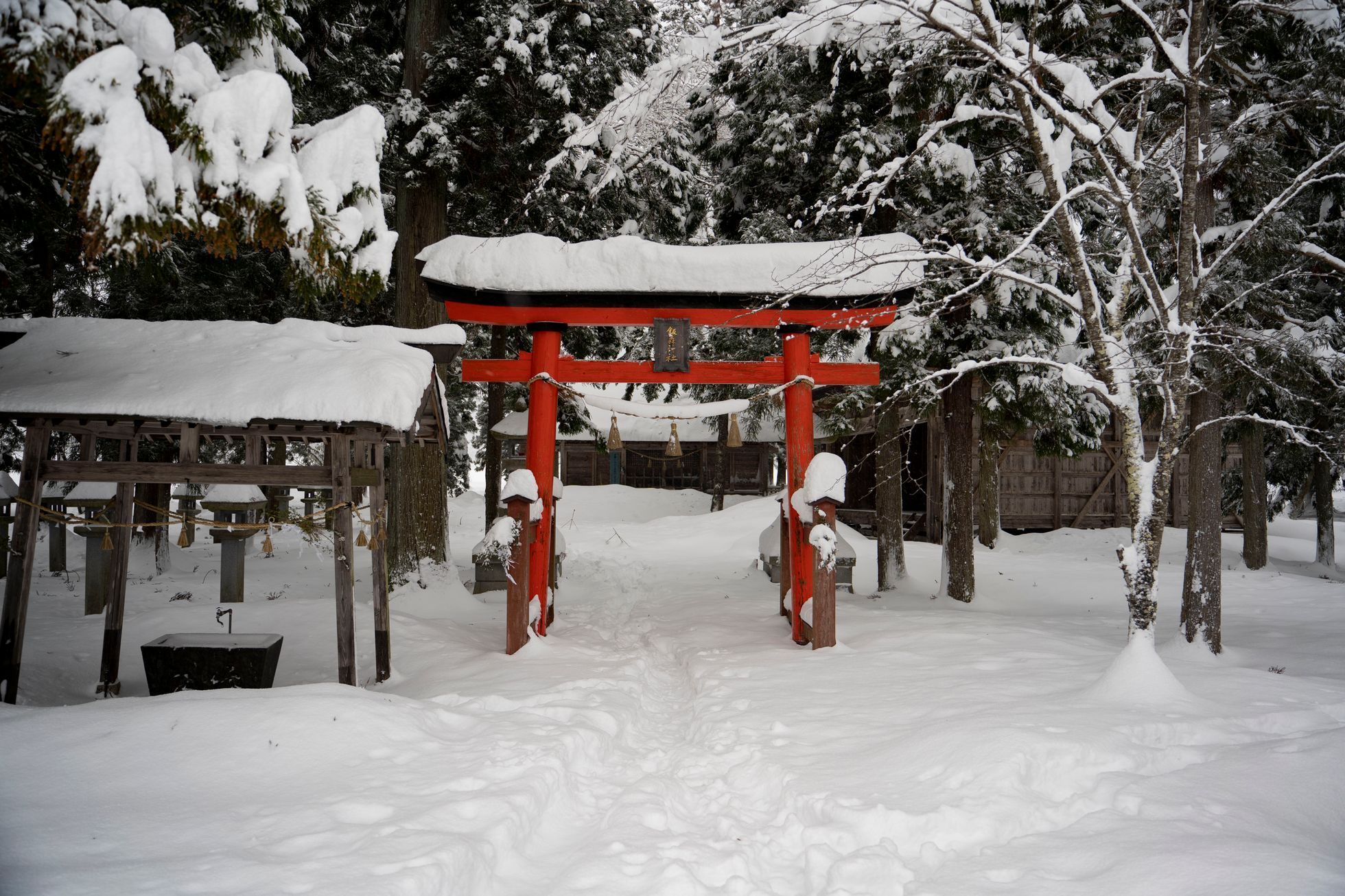 japonsko lyžování hakuba