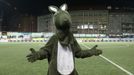 Zrušený zápas Bohemians 1905 - Plzeň: maskot Bohemians