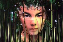 Björk jde do škol. Biophilia se dostane i do učebních osnov