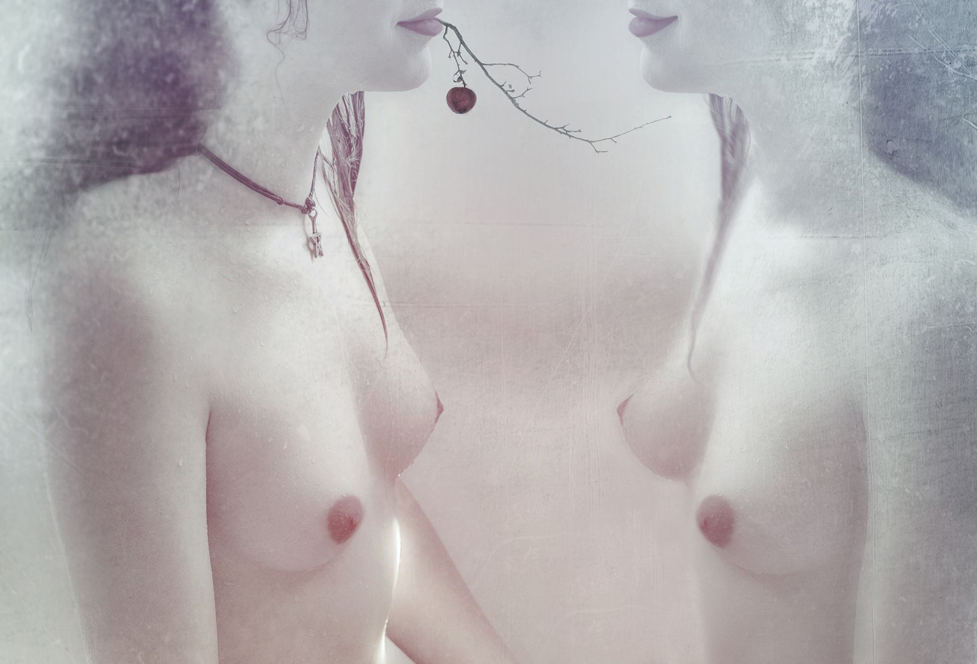 Nikon kalendář 2020