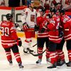 Hokej, MS 2013, Česko - Kanada: Kanada slaví gól na 1:2; vzadu Petr Koukal