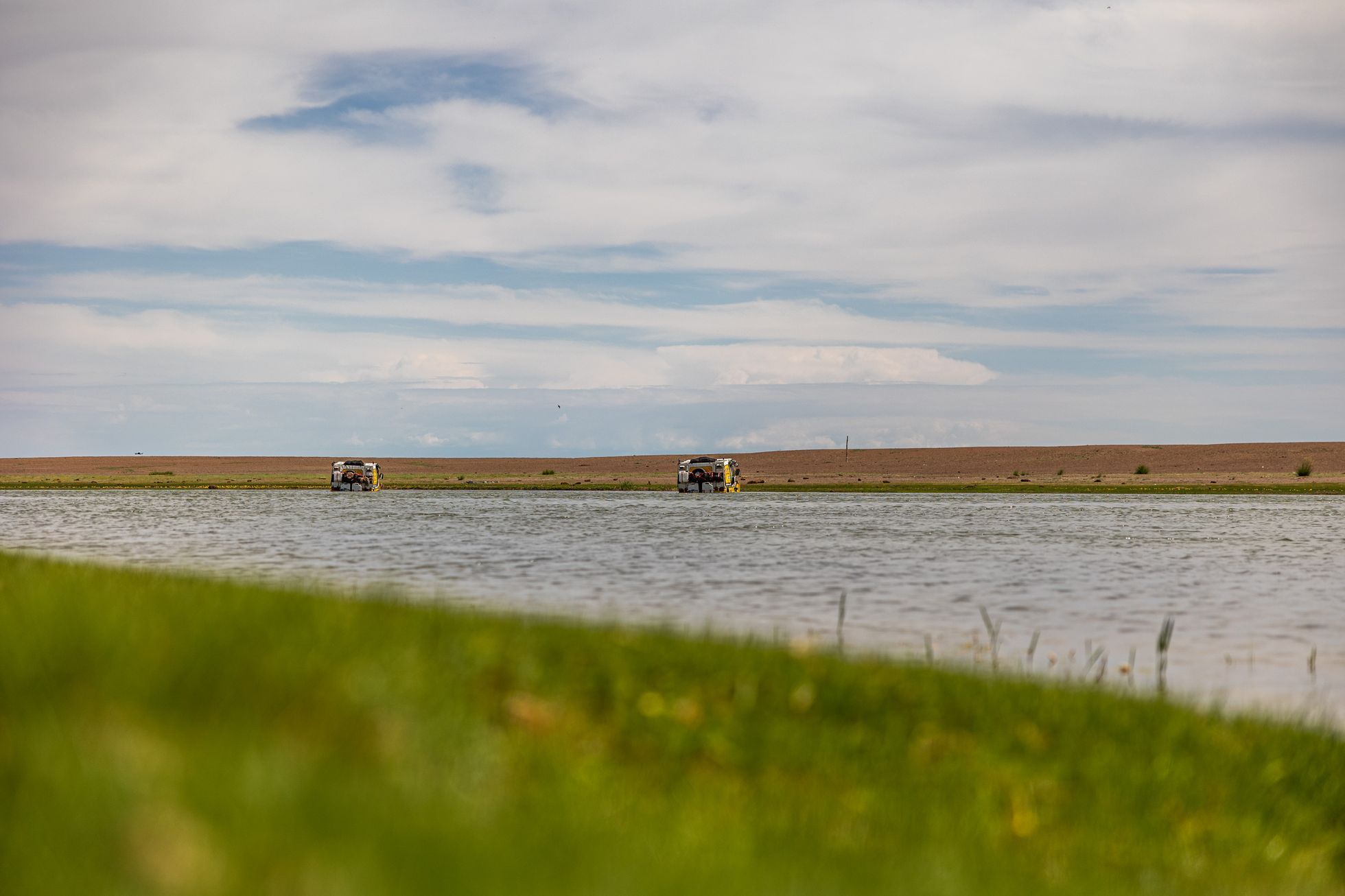 Žlutá žába pluje!