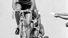 Eddy Merckx