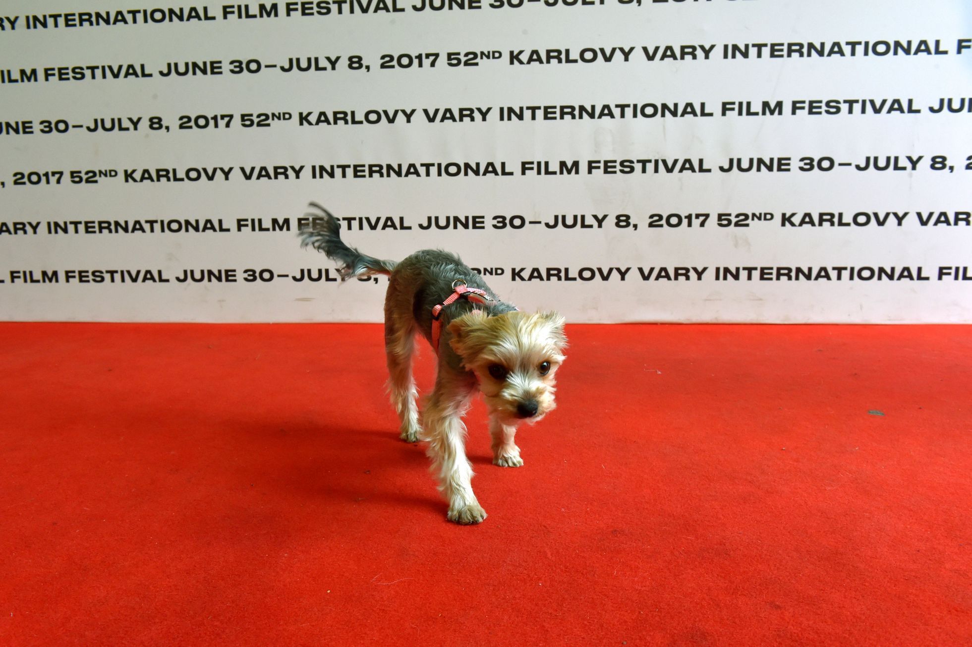 52. Mezinárodní filmový festival Karlovy Vary.