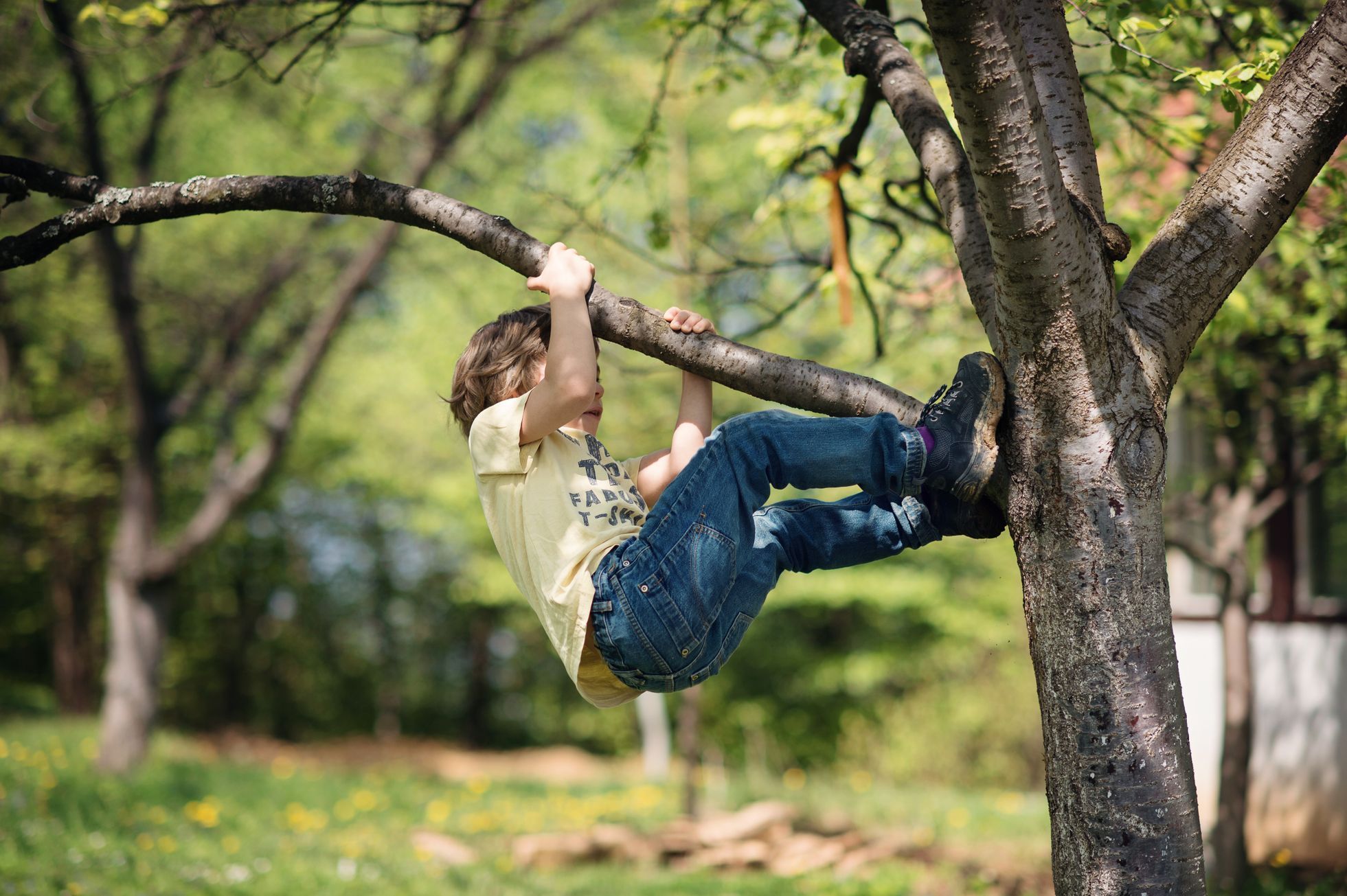 Dítě leze na strom