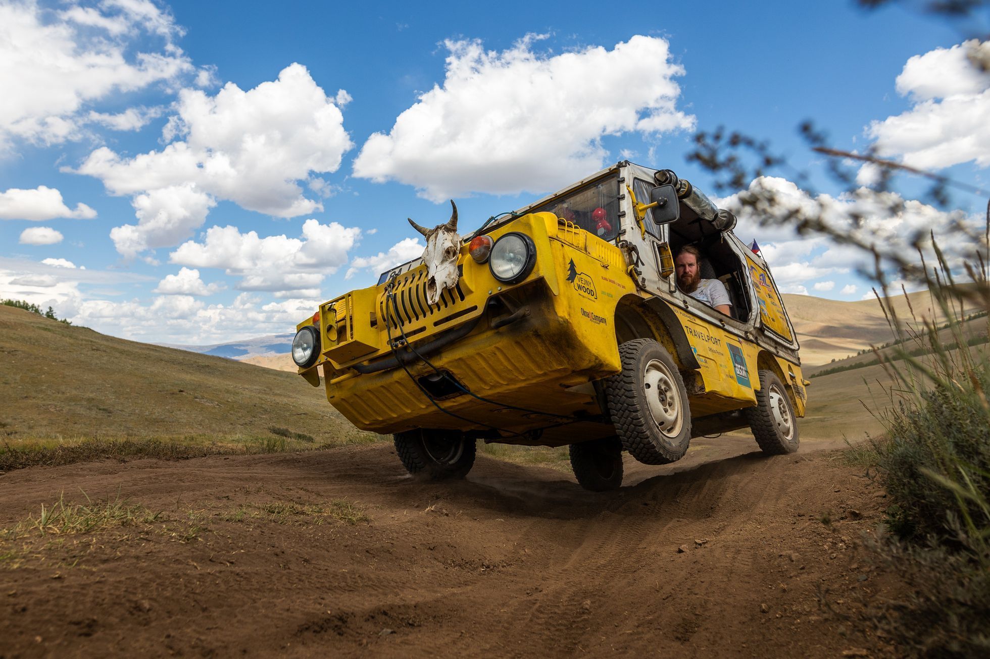 Žlutá žába pluje