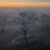 Nejlepší fotky Reuters za rok 2024, foto, Reuters, Zahraničí