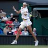 Wimbledon 2014, čtvrtfinále: Petra Kvitová