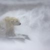 Vítězné snímky ze soutěže Environmental Photography Award 2024