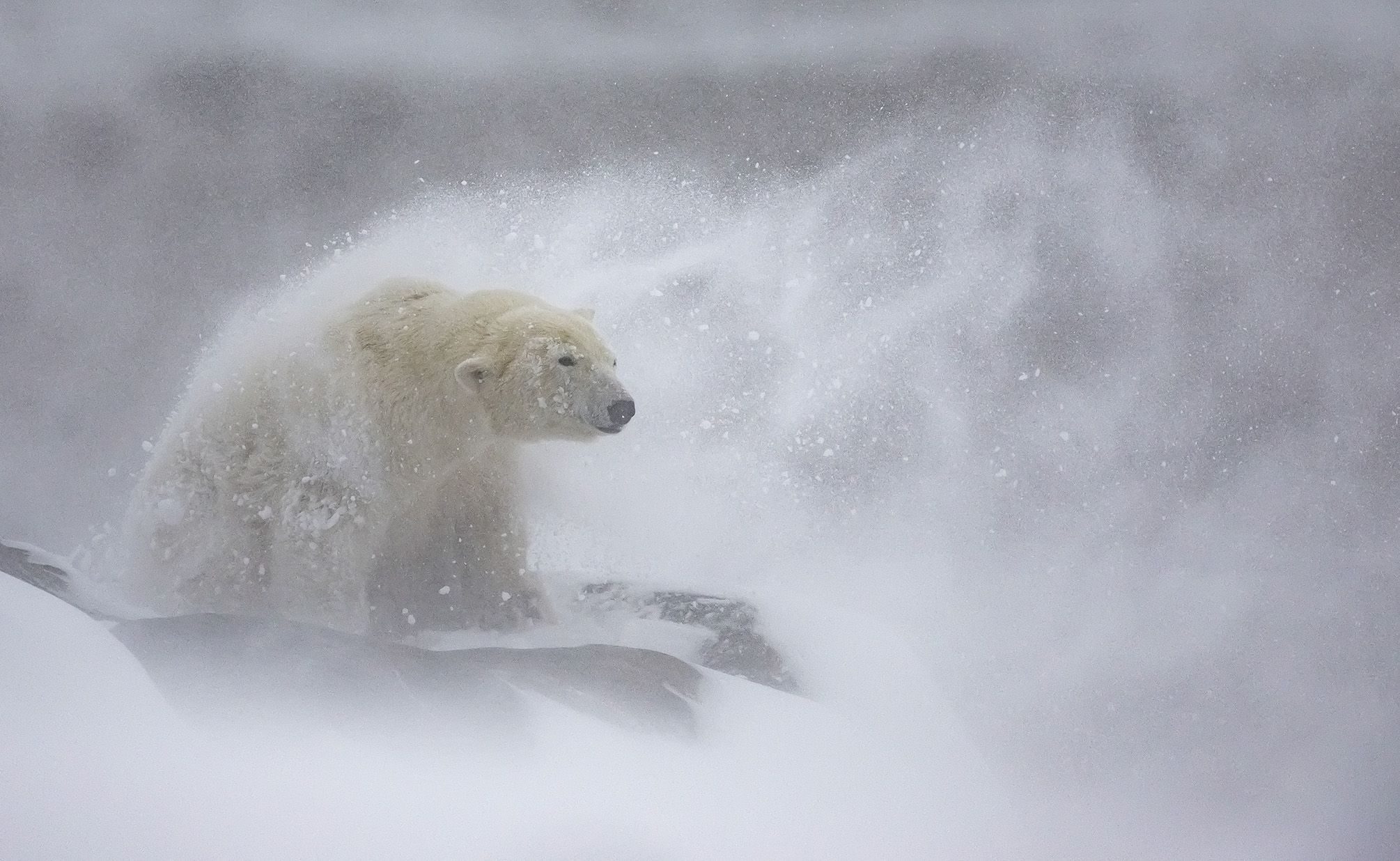 Vítězné snímky ze soutěže Environmental Photography Award 2024