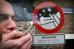 Nizozemsko u voleb znovu řeší marihuanu