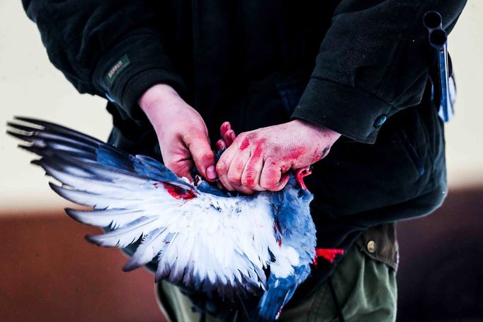 Nominace na Czech Press Photo 2019 - Životní prostředí