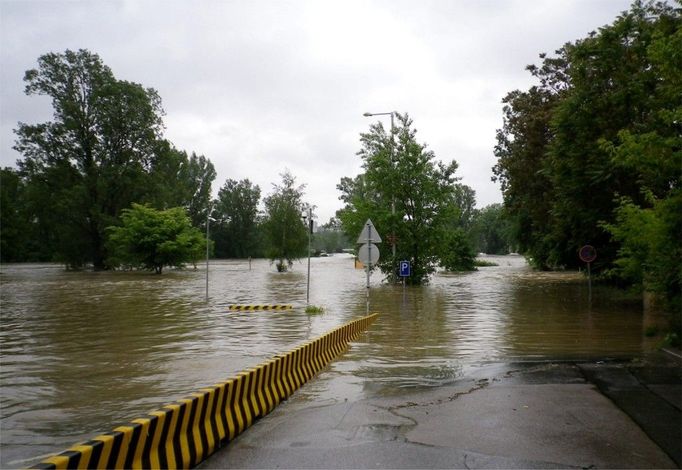 Cesta od ZOO na parkoviště.