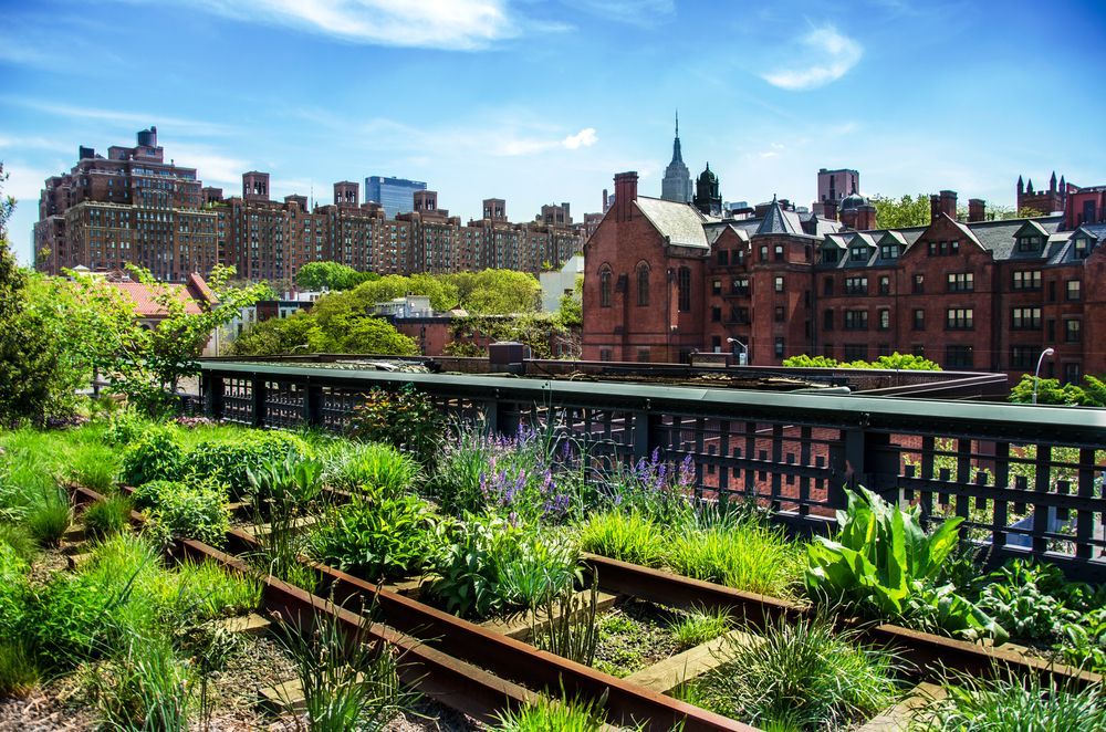 High Line- lidi
