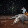 Vítězné snímky ze soutěže Environmental Photography Award 2024