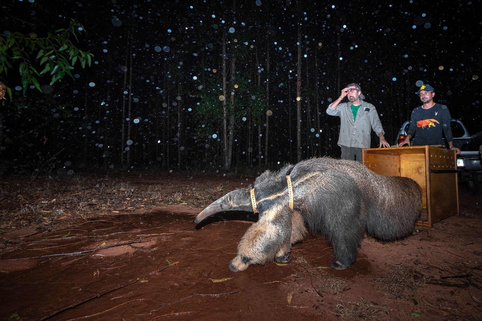 Vítězné snímky ze soutěže Environmental Photography Award 2024