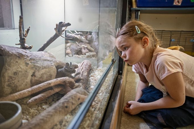 Nela je schopná se zasvěceně bavit s každým o jakémkoli tématu a velmi dobře tomu přizpůsobit úroveň a styl komunikace.