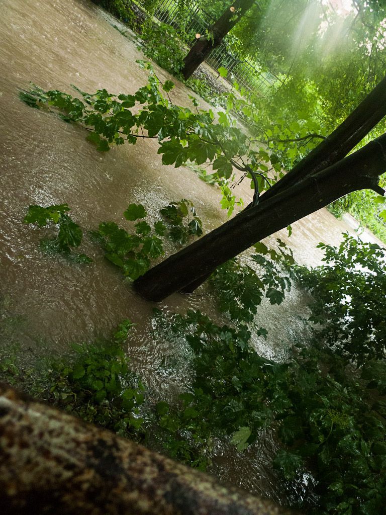 Fotogalerie: Povodeň v Holešovicích a v Libni