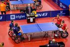 Dvě evropské medaile pro Suchánka. Handicapovaný stolní tenista je šestý na světě