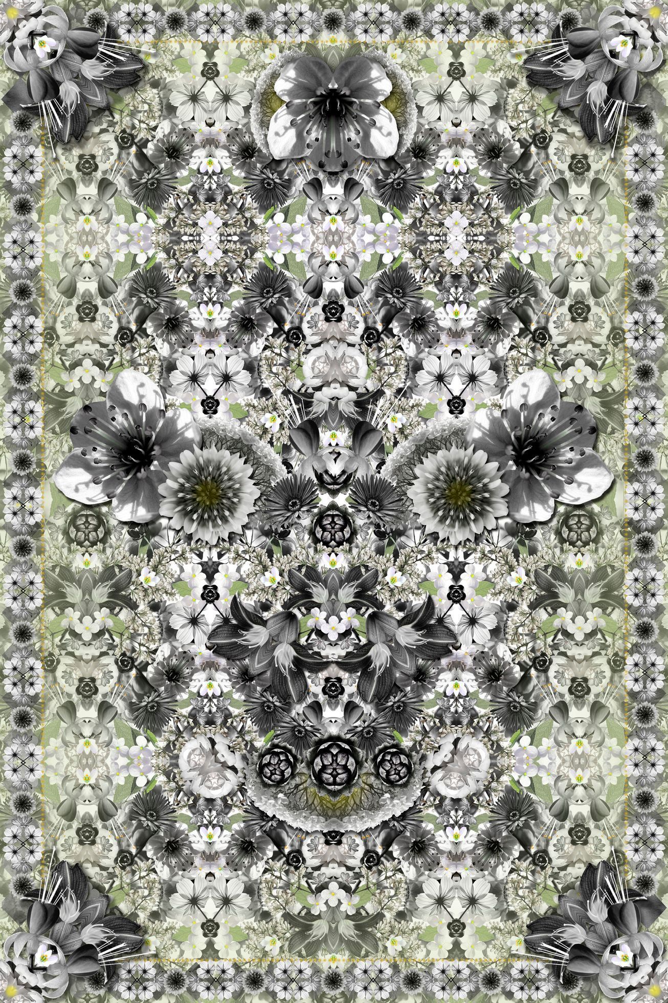 Komerční foto - Moooi Carpets