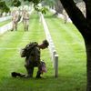 USA, Memorial day, váleční veteráni
