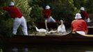 Swans and cygnets are surrounded by the Queen's Swan Uppers before being lifted for inspection during the annual Swan Upping ceremony on the River Thames between Shepper