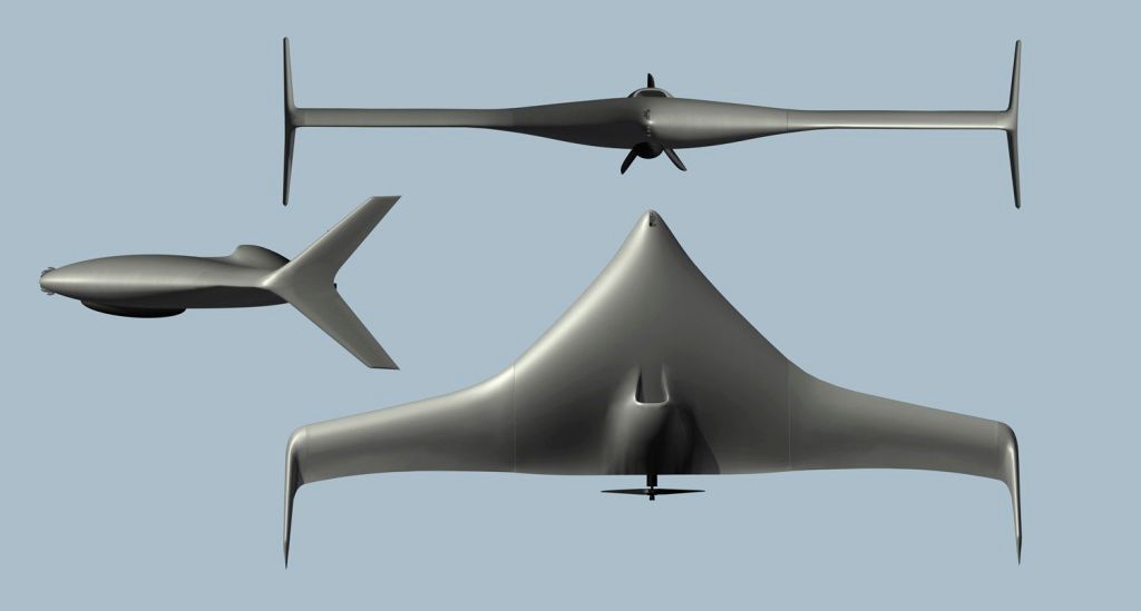 Bat