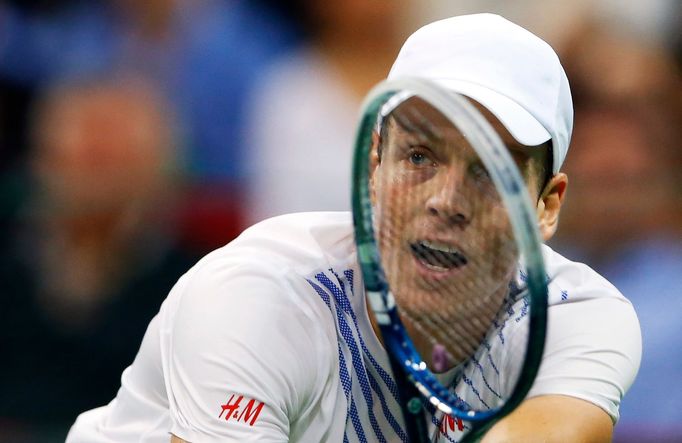 Davis Cup, finále Srbsko-ČR: Tomáš Berdych