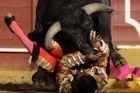 Katalánští poslanci rozhodují o zákazu býčích zápasů