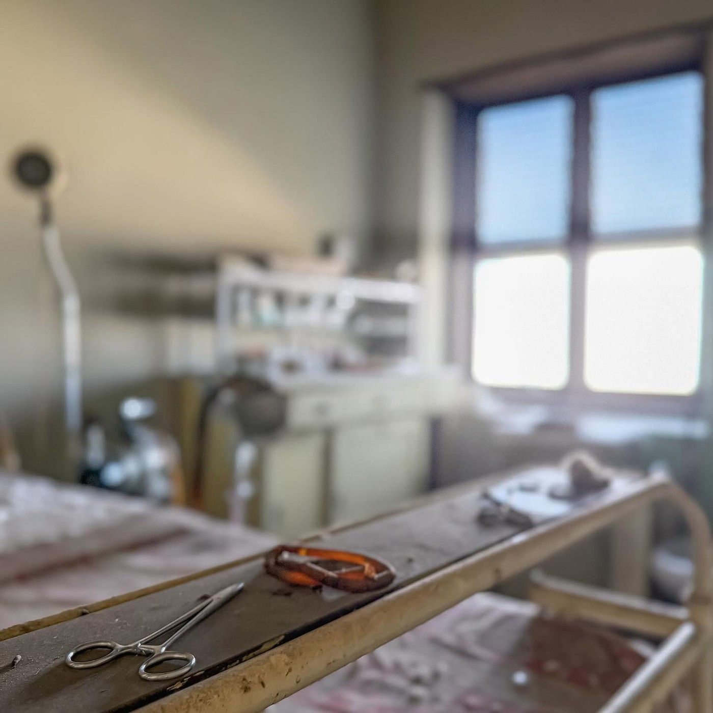 Hororové snímky z dvacet let opuštěné nemocnice