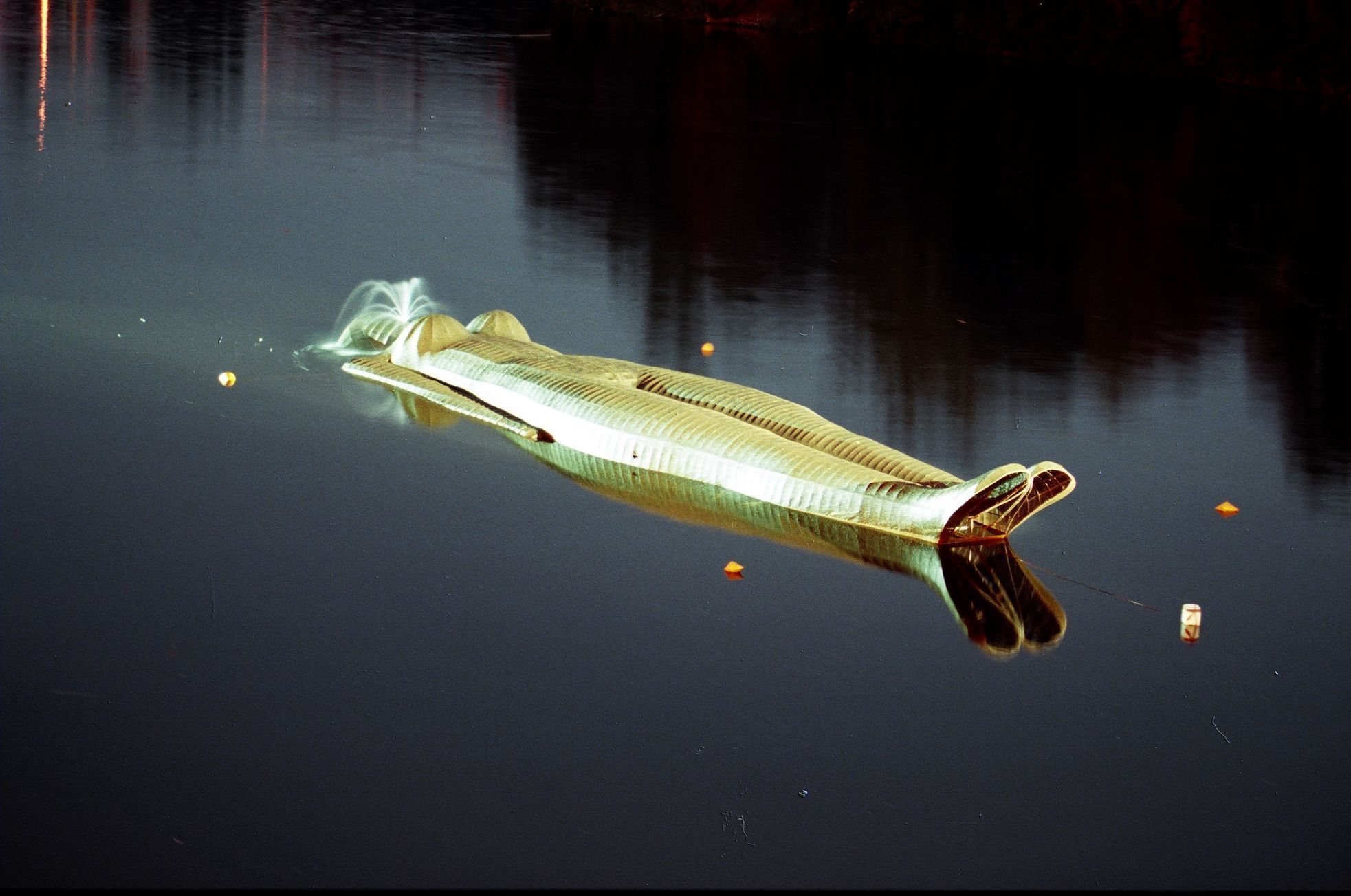 Kurt Gebauer: Ponorná socha Vltava