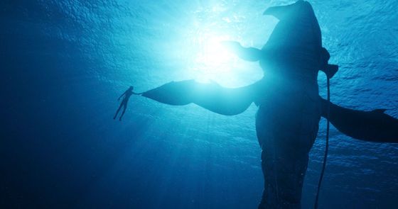 Novinku Avatar: The Way of Water (na snímku) natáčel James Cameron z významné části pod vodou.