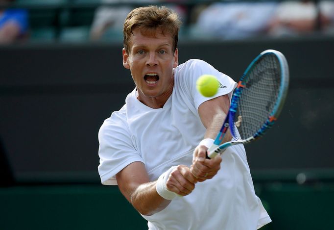 Wimbledon 2016: Tomáš Berdych