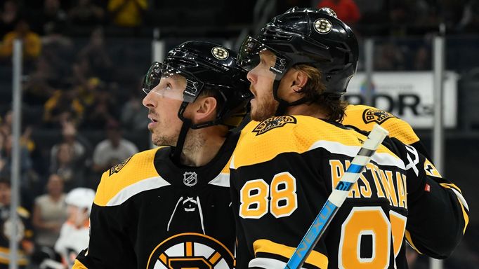 hokej, příprava na NHL 2019/2020, Boston - Philadelphia, David Pastrňák a Brad Marchand