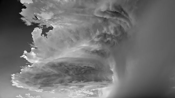 Fotografie, které vyhrály soutěž Sony World Photography Awards 2012