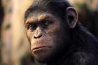 VIDEO V Úsvitu Planety opic šimpanzi vládnou Zemi