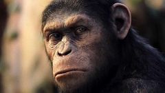 Pusťte si nejnovější trailer k filmu Úsvit planety opic.