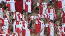 Fanoušci Slavie