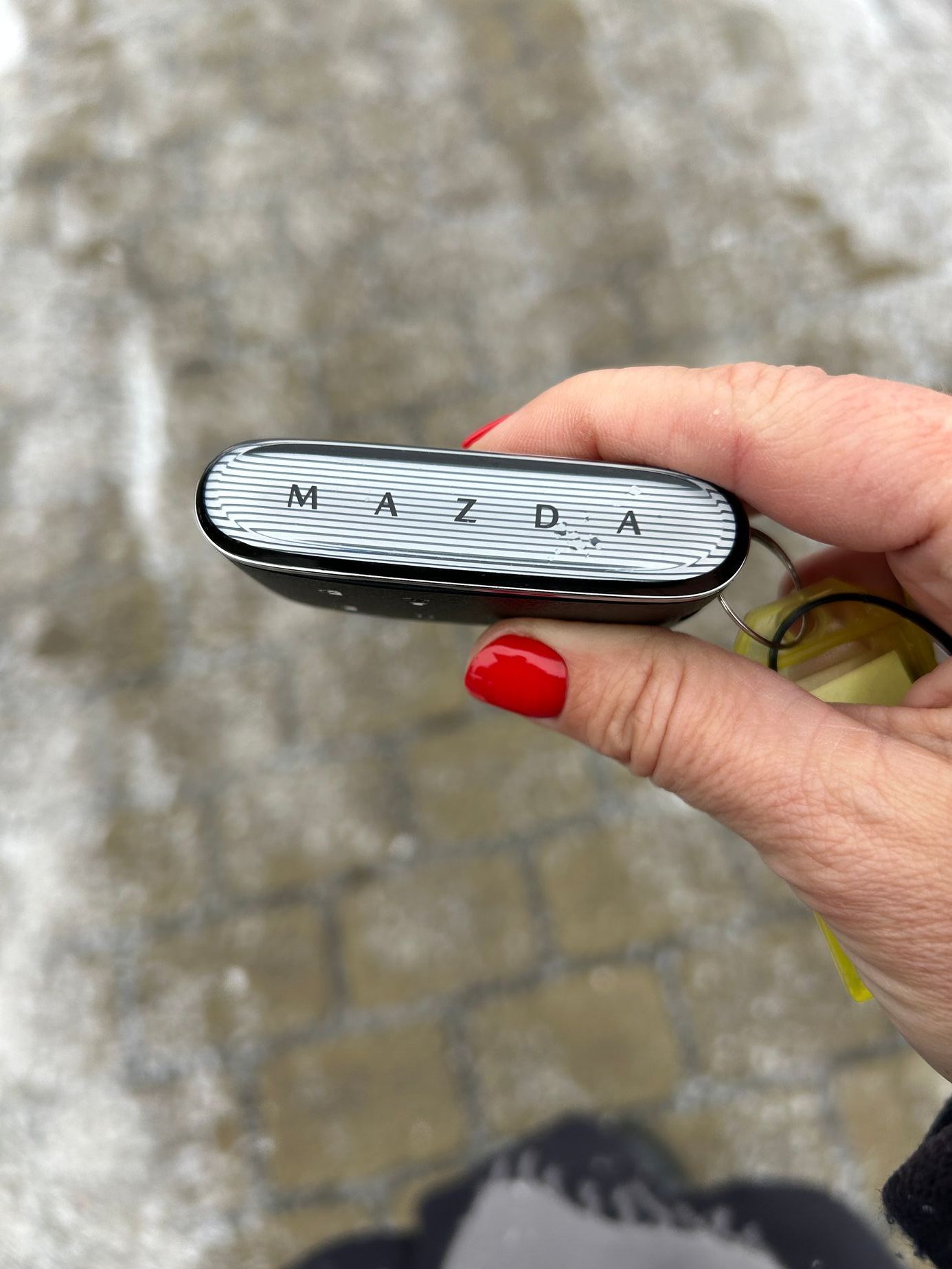 Anketa Auto roku 2026