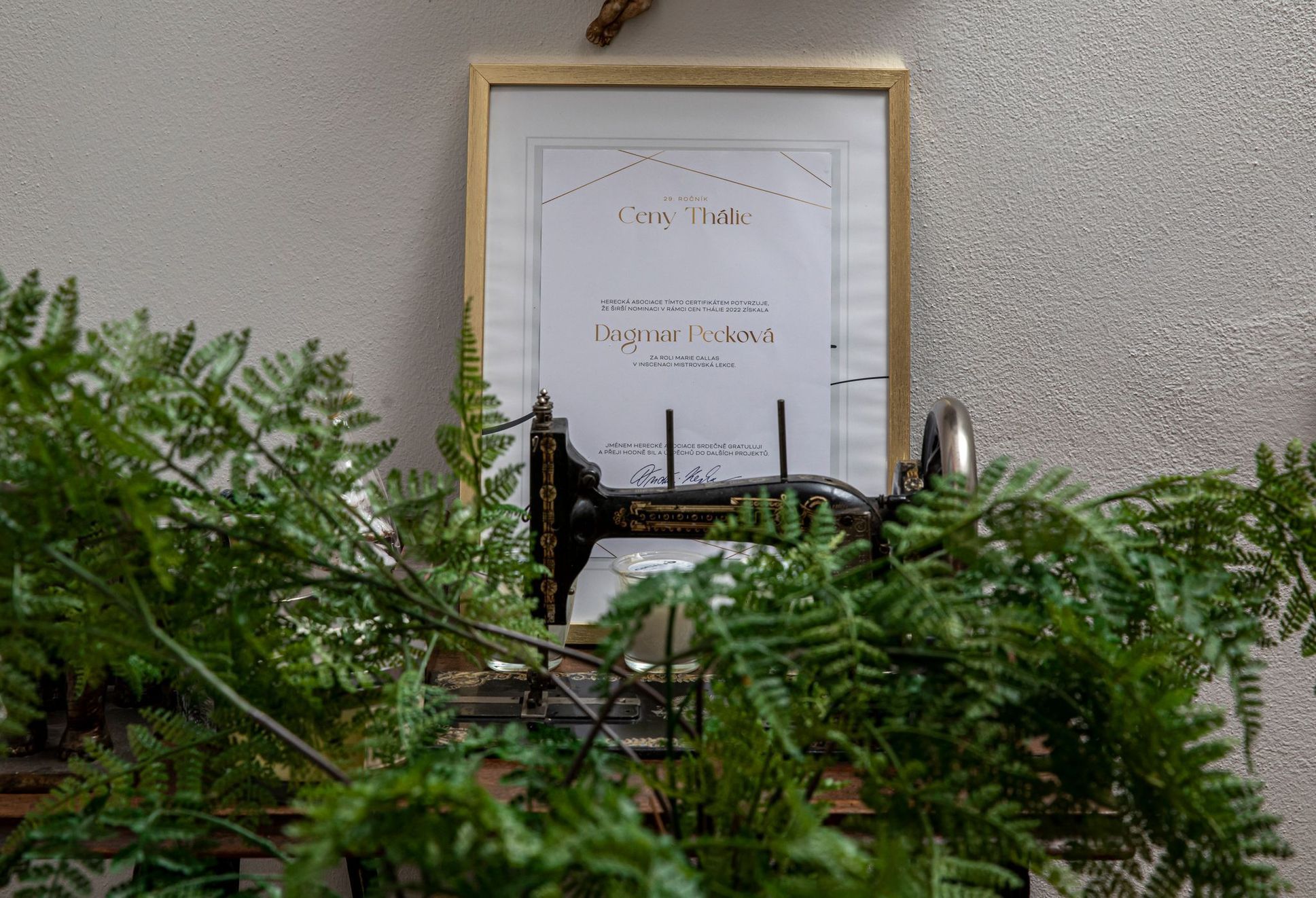 Jak bydlí Dagmar Pecková