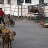 Jan Šibík: Severní Korea / fotografie z výstavy fotografií v pražském Karolinu, 2024