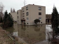 V samotném Znojmě voda během dne zaplavila několik bytových domů v Loucké ulici a zahrady v těsné blízkosti koryta řeky.