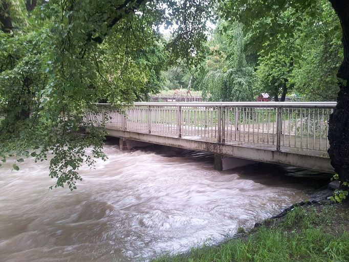 Rokytka v parku Podvinny mlyn. Pondělí, 17:22