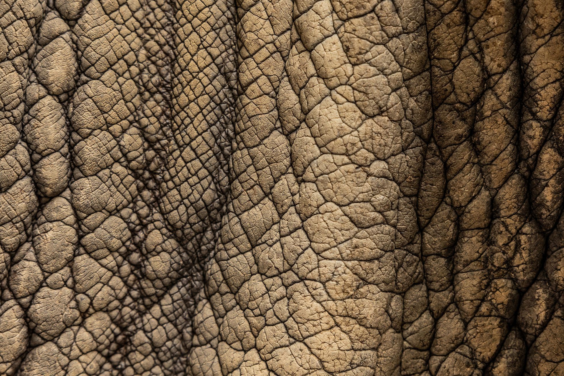 Czech Nature Photo Junior - nominace